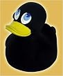 Rubber Duckie - Black Rubber Duck (Size: 3" x 2")
