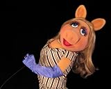 Professional Muppet Puppet Ventriloquist TV Movie Prop the Muppet Show Sesame Street Miss Piggy Fraggle Rock Puppetry theater OOAK custom built