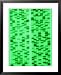 DNA Sequence, a Non- Photosynthetic Algae Framed Art Poster Print by David M. Dennis, 25x31