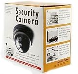 Fake Dome Security Camera