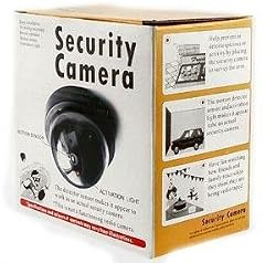 Fake Dome Security Camera