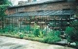 Review   / Kensington 8 Greenhouse 8ft 5 x 8ft 5