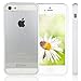 iPhone 5 Case, JETech® Apple iPhone 5/5S Case Bumper Shock-Absorption Bumper and Anti-Scratch Clear Back for iPhone 5/5S (White)