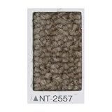 タイルカーペット　サンゲツ　ＮＴ－２５５７