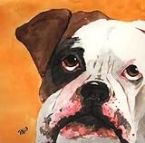BOXER PAINTING ART