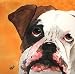 BOXER PAINTING ART GICLEE