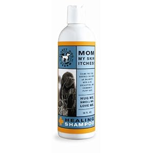 Planet Dog Puppy-Safe Healing Shampoo