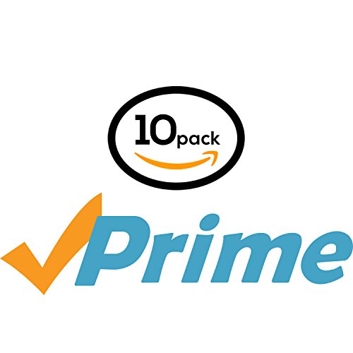 10PK - Metal Handle Hand Fly Swatters