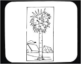 Mouse Pad with black and white , Middle East , scenery, Arabia, palm tree , landscape, house