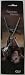 Vampire Diairies Stephen Crest Penedant Necklace New