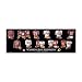 Washington Redskins Evolution Plaque