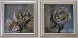 ST. CLAUD STERLING�� �z�G�Q���g�݁uMODERN ROSE �T�A�U�v
