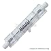 Ushio DXW 120V 1000WC5 #1000236 Halogen Lamp - 1000 watts / 120 volts