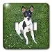 Dogs Fox Terrier - Toy Fox Terrier 1 - Light Switch Covers - double toggle switch