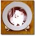 White Pomeranian - 8 Inch Porcelain Plate