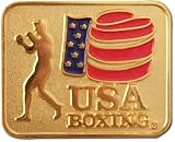 USA Boxing Logo Pin