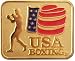 USA Boxing Logo Pin