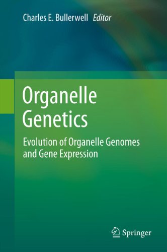Organelle Genetics: Evolution of Organelle Genomes and Gene Expression