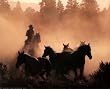(16x20) Cowboy (Horse Roundup) Art Poster Print