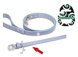 (Wag'n'Walk) Designer Blue Mock Croc Dog Collar (Small)