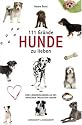 111 Gr&uuml;nde, Hunde zu lieben: Eine Liebeserkl&auml;rung an des Menschen treuesten Freund