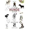 111 Gr�nde, Hunde zu lieben: Eine Liebeserkl�rung an des Menschen treuesten Freund