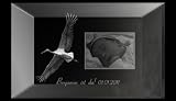3D Glaskristall XL Storch mit Deinem Babyfoto und Wunschtext! Das Persönliche Geschenk zur Geburt für frische Eltern!