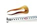 Marycrafts 2 Prongs Simple Buffalo Horn Hair Fork HairPin Hair Accessories Handmade