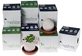 Eggling - Herb - Thyme