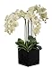 Artificial Triple-stem Phalaenopsis Orchid Arrangement Cream/burgundy