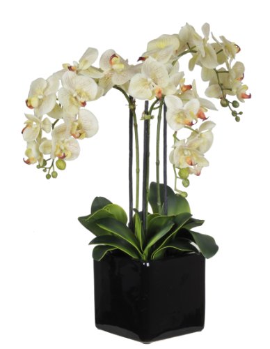 Artificial Triple-stem Phalaenopsis Orchid Arrangement Cream/burgundy