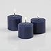 Richland® Votive Candles Navy Blueberry Pie Scented 10 Hour Burn Set of 72