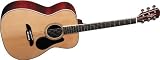 Alvarez AF60S Acoustic Guitar, Natural