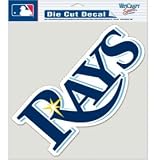 Tampa Bay Rays 8x8 COLOR Die Cut Window Cling