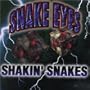 Snake Skin