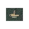 College Of Charleston "Charleston" 1/8" Charm/Pendant -14K/10K, Stainless Steel or Gold Plated