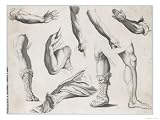 An Assortment of Hands and Feet, Some of the Feet in Sandals Collections Giclee Poster Print, 40x30