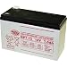 Tools & Hardware : Mighty Mule FM150 Replacement Battery for GTO and Mighty Mule Gate Openers
