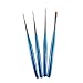Winstonia Nail Art Brushes Set, Striping & Gel Brush Painting Tools for Drawing Lining 3D Sculpture Clean Up Salon Use at Home DIY - BLUE MOON