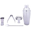 Stainless Steel 5-Piece Cocktail Martini Shaker Set