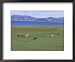 Lake Terkhiin Tsagaan Nuur, Volcanic Region of Khorgo, Arkhangai, Mongolia, Central Asia Framed Art Poster Print by Bruno Morandi, 22x18