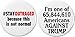 Set 2 Stay Outraged / Americans Against Trump 2.25â€ Large Buttons Pins Anti