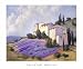 Basking in the Sunlight by Brigitte Curt. ART PRINT ON CANVAS with 1 1/2 inch deep bars. 19.96 inches width by 15.96 inches height. Highest Quality Art Poster Print