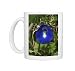 Photo Mugs of DH-3573 Butterfly Pea flower - This is the purple variety from Ardea Wildlife Pets