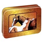 Horse Essence of the West Note Cards Tin Tree-Free