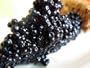 Black Lumpfish Caviar 'Malossol' 12.00 oz. / 340 gr.