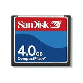 SanDisk - Flash memory card - 4 GB - CompactFlash