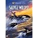 Sauvez Willy 2