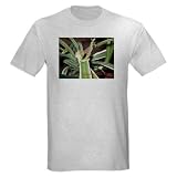 Ash Grey T-Shirt/ Chinese Water Dragon Dragon Light T-Shirt by CafePress