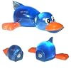 Blue Duck Animal Magnet